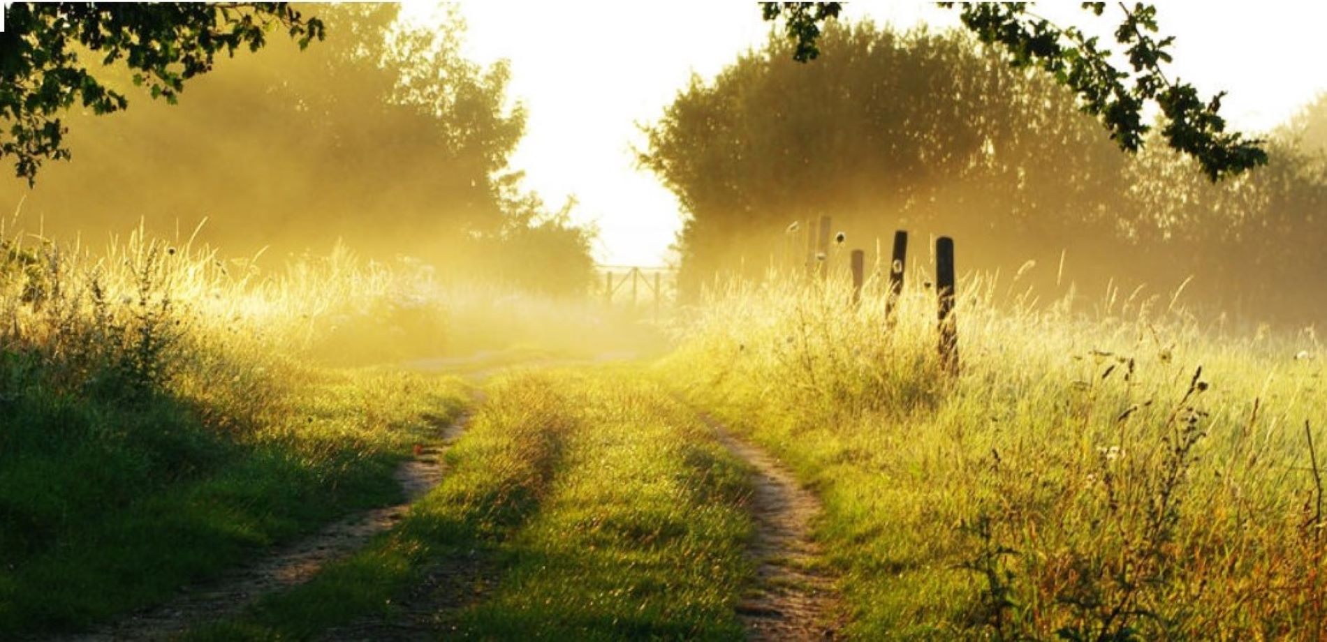 L'art de vivre aux portes de Paris: Vallée de Chevreuse